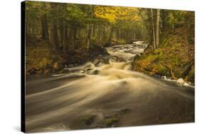 USA, Michigan. Fall Colors, Stream-George Theodore-Stretched Canvas