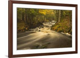 USA, Michigan. Fall Colors, Stream-George Theodore-Framed Premium Photographic Print