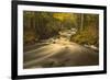 USA, Michigan. Fall Colors, Stream-George Theodore-Framed Premium Photographic Print