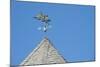 USA, Michigan, Mackinac Island. 'When Pigs Fly' rooftop weathervane.-Cindy Miller Hopkins-Mounted Photographic Print