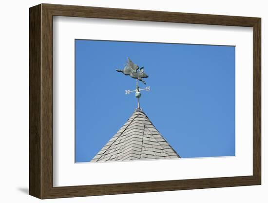 USA, Michigan, Mackinac Island. 'When Pigs Fly' rooftop weathervane.-Cindy Miller Hopkins-Framed Photographic Print