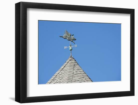 USA, Michigan, Mackinac Island. 'When Pigs Fly' rooftop weathervane.-Cindy Miller Hopkins-Framed Photographic Print