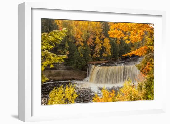 USA, Michigan, Paradise, Tahquamenon Falls State Park, Upper Falls-Frank Zurey-Framed Photographic Print