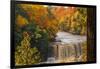 USA, Michigan, Paradise, Tahquamenon Falls State Park, Upper Falls-Sherry Zurey-Framed Photographic Print