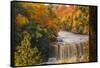 USA, Michigan, Paradise, Tahquamenon Falls State Park, Upper Falls-Sherry Zurey-Framed Stretched Canvas