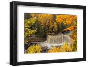 USA, Michigan, Paradise, Tahquamenon Falls State Park, Upper Falls-Frank Zurey-Framed Photographic Print