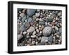 USA, Michigan. Polished pebbles on the shore of Lake Superior.-Anna Miller-Framed Premium Photographic Print