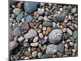 USA, Michigan. Polished pebbles on the shore of Lake Superior.-Anna Miller-Mounted Premium Photographic Print