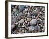 USA, Michigan. Polished pebbles on the shore of Lake Superior.-Anna Miller-Framed Photographic Print