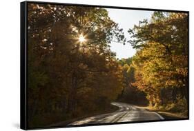 USA, Michigan. Sunlight through autumn foliage along a road in the Keweenaw Peninsula.-Brenda Tharp-Framed Stretched Canvas