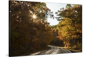 USA, Michigan. Sunlight through autumn foliage along a road in the Keweenaw Peninsula.-Brenda Tharp-Stretched Canvas
