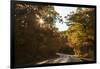 USA, Michigan. Sunlight through autumn foliage along a road in the Keweenaw Peninsula.-Brenda Tharp-Framed Photographic Print