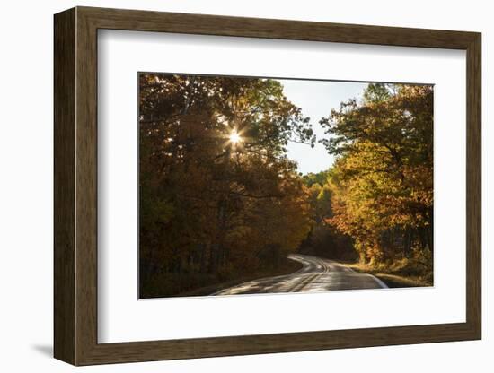 USA, Michigan. Sunlight through autumn foliage along a road in the Keweenaw Peninsula.-Brenda Tharp-Framed Photographic Print