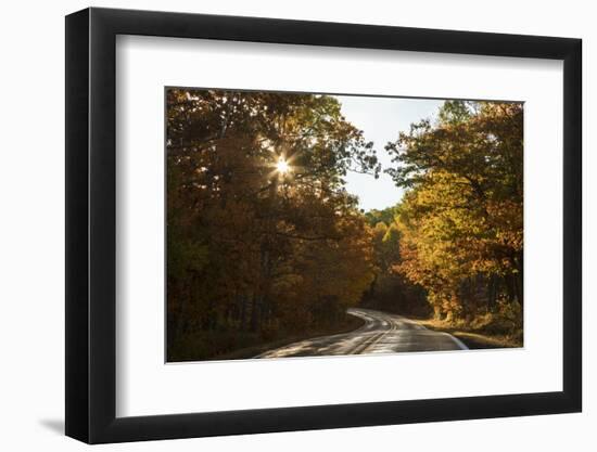 USA, Michigan. Sunlight through autumn foliage along a road in the Keweenaw Peninsula.-Brenda Tharp-Framed Photographic Print