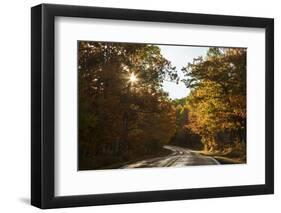 USA, Michigan. Sunlight through autumn foliage along a road in the Keweenaw Peninsula.-Brenda Tharp-Framed Photographic Print