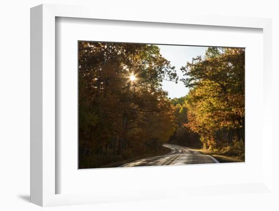 USA, Michigan. Sunlight through autumn foliage along a road in the Keweenaw Peninsula.-Brenda Tharp-Framed Photographic Print