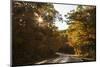 USA, Michigan. Sunlight through autumn foliage along a road in the Keweenaw Peninsula.-Brenda Tharp-Mounted Photographic Print