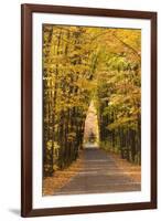 USA, Michigan. Trees lining Cathedral Road form a cathedral like shape overhead.-Brenda Tharp-Framed Premium Photographic Print