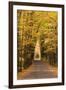 USA, Michigan. Trees lining Cathedral Road form a cathedral like shape overhead.-Brenda Tharp-Framed Photographic Print