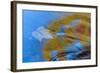 USA, Michigan, Upper Peninsula. Bond Falls Reflections in Fall-Jaynes Gallery-Framed Photographic Print