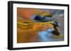 USA, Michigan, Upper Peninsula. Bond Falls Reflections in Fall-Jaynes Gallery-Framed Photographic Print