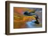 USA, Michigan, Upper Peninsula. Bond Falls Reflections in Fall-Jaynes Gallery-Framed Photographic Print