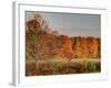 USA, Michigan, Upper Peninsula. Fall Colors in Hiawatha NF-Julie Eggers-Framed Photographic Print