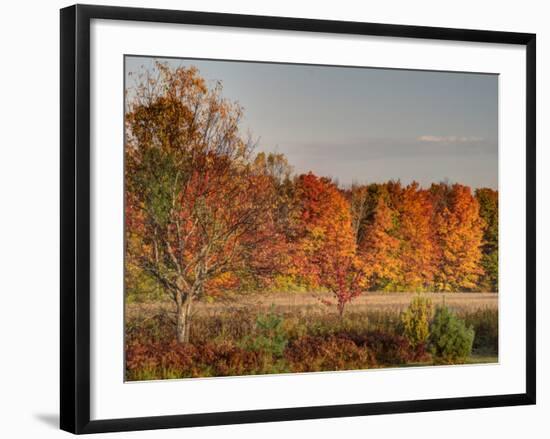 USA, Michigan, Upper Peninsula. Fall Colors in Hiawatha NF-Julie Eggers-Framed Photographic Print