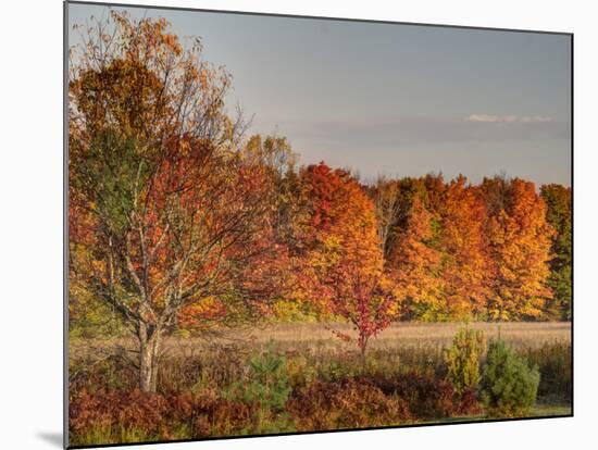 USA, Michigan, Upper Peninsula. Fall Colors in Hiawatha NF-Julie Eggers-Mounted Photographic Print