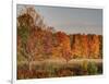 USA, Michigan, Upper Peninsula. Fall Colors in Hiawatha NF-Julie Eggers-Framed Photographic Print