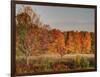 USA, Michigan, Upper Peninsula. Fall Colors in Hiawatha NF-Julie Eggers-Framed Photographic Print