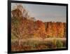 USA, Michigan, Upper Peninsula. Fall Colors in Hiawatha NF-Julie Eggers-Framed Photographic Print