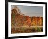 USA, Michigan, Upper Peninsula. Fall Colors in Hiawatha NF-Julie Eggers-Framed Photographic Print