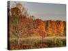 USA, Michigan, Upper Peninsula. Fall Colors in Hiawatha NF-Julie Eggers-Stretched Canvas