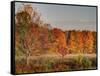 USA, Michigan, Upper Peninsula. Fall Colors in Hiawatha NF-Julie Eggers-Framed Stretched Canvas