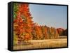 USA, Michigan, Upper Peninsula. Fall Colors in Hiawatha NF-Julie Eggers-Framed Stretched Canvas