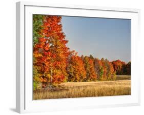 USA, Michigan, Upper Peninsula. Fall Colors in Hiawatha NF-Julie Eggers-Framed Photographic Print