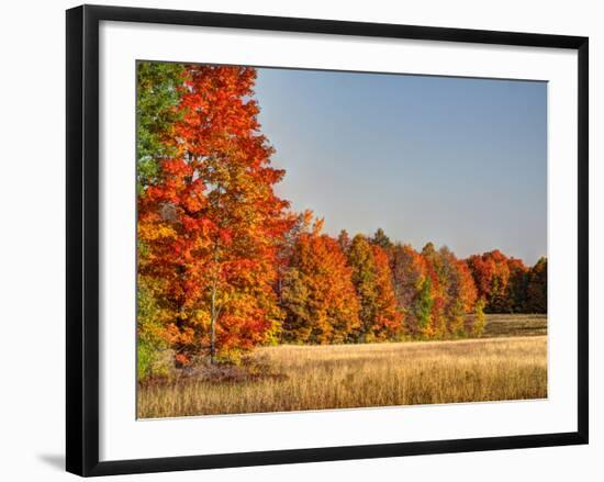 USA, Michigan, Upper Peninsula. Fall Colors in Hiawatha NF-Julie Eggers-Framed Photographic Print