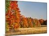 USA, Michigan, Upper Peninsula. Fall Colors in Hiawatha NF-Julie Eggers-Mounted Photographic Print