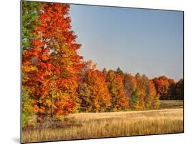 USA, Michigan, Upper Peninsula. Fall Colors in Hiawatha NF-Julie Eggers-Mounted Photographic Print