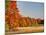 USA, Michigan, Upper Peninsula. Fall Colors in Hiawatha NF-Julie Eggers-Mounted Photographic Print