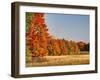 USA, Michigan, Upper Peninsula. Fall Colors in Hiawatha NF-Julie Eggers-Framed Photographic Print