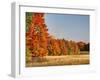 USA, Michigan, Upper Peninsula. Fall Colors in Hiawatha NF-Julie Eggers-Framed Photographic Print