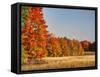 USA, Michigan, Upper Peninsula. Fall Colors in Hiawatha NF-Julie Eggers-Framed Stretched Canvas