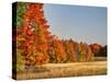 USA, Michigan, Upper Peninsula. Fall Colors in Hiawatha NF-Julie Eggers-Stretched Canvas