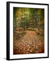 USA, Michigan, Upper Peninsula. Leaf Lined Trail in the Hiawatha NF-Julie Eggers-Framed Photographic Print