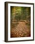 USA, Michigan, Upper Peninsula. Leaf Lined Trail in the Hiawatha NF-Julie Eggers-Framed Photographic Print