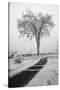 USA, Minnesota, Duluth, Park Point, Boardwalk over Dunes-Peter Hawkins-Stretched Canvas