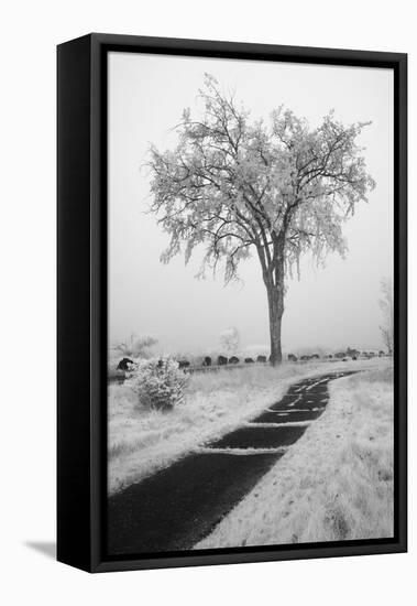 USA, Minnesota, Duluth, Park Point, Boardwalk over Dunes-Peter Hawkins-Framed Stretched Canvas