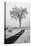 USA, Minnesota, Duluth, Park Point, Boardwalk over Dunes-Peter Hawkins-Stretched Canvas